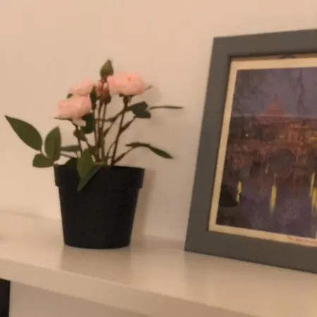 Cornelius ゲストハウス ローマ